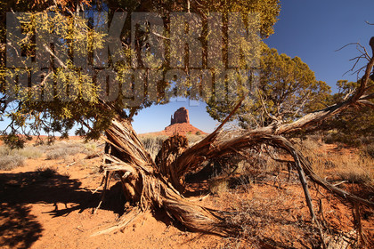 ref-5410-usa18-monument-valley-usa-desert-photos-de-monument-valley-photographe.jpg