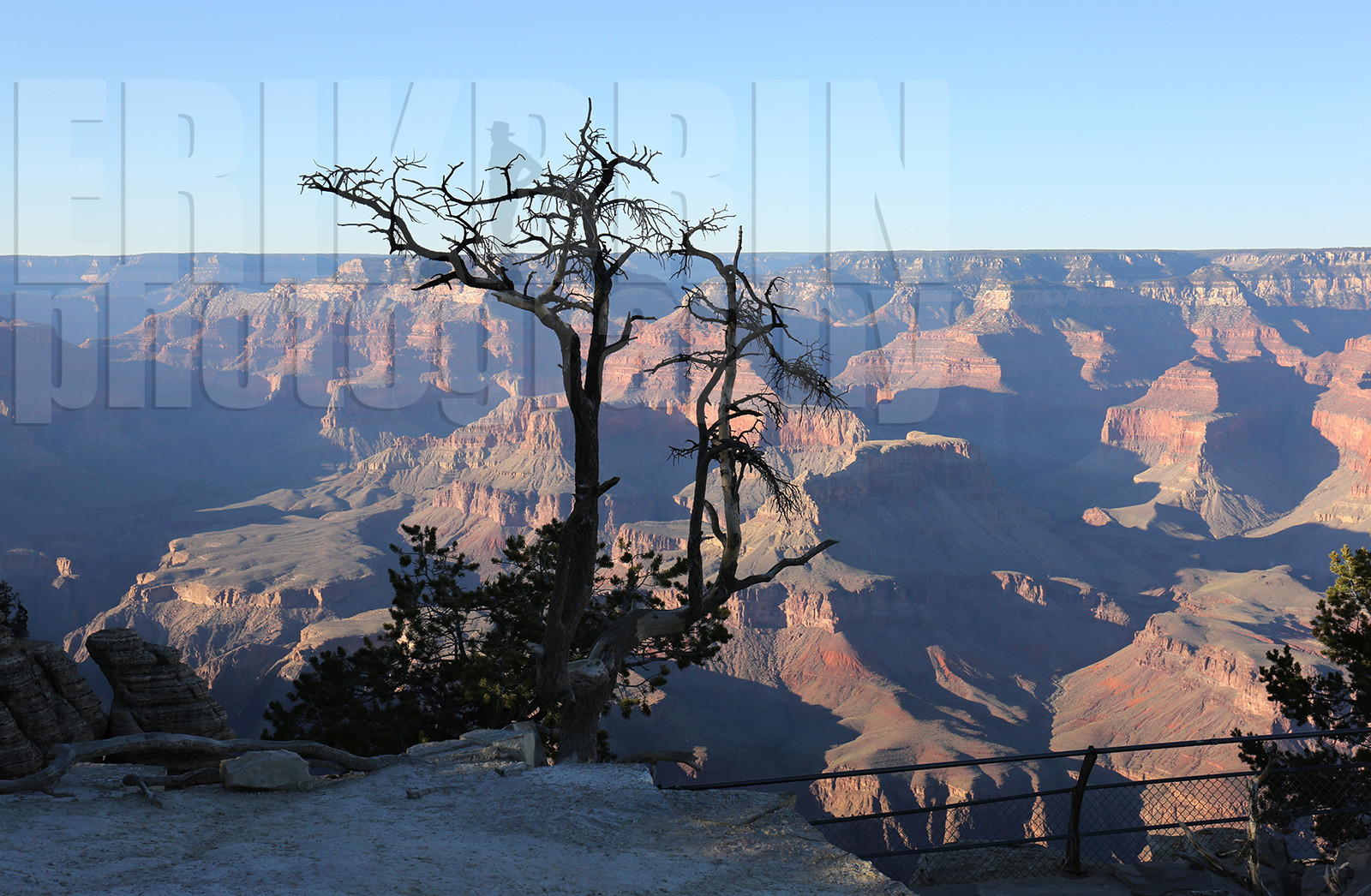 ref-7170-usa18-grand-canyon-usa-road-trip-photographe-desert-ouest-americain-.jpg