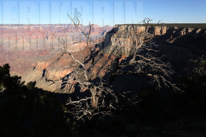ref-7200-usa18-grand-canyon-usa-road-trip-photographe-desert-ouest-americain-.jpg