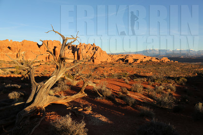 ref-7690-usa18-arches-national-park-usa-desert-road-trip-photographe-ouest-americain.jpg