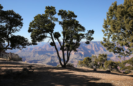 ref-7040-usa18-grand-canyon-usa-road-trip-photographe-desert-ouest-americain-.jpg