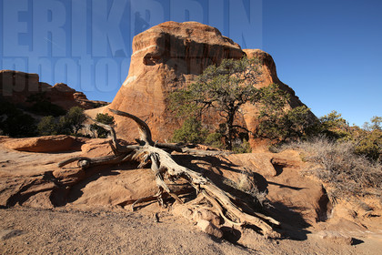 ref-8000-usa18-arches-national-park-usa-desert-road-trip-photographe-ouest-americain.jpg