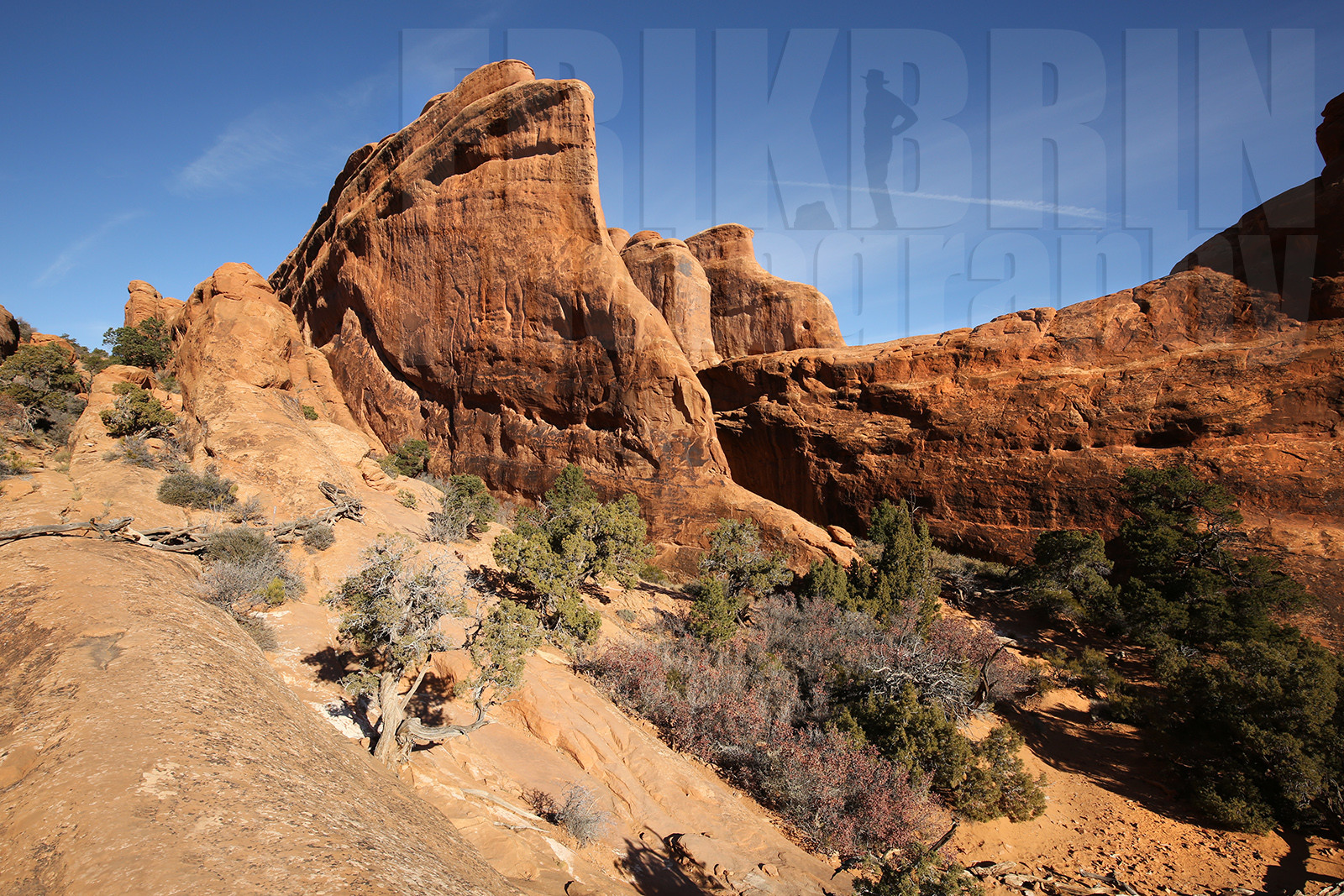 ref-8090-usa18-arches-national-park-usa-desert-road-trip-photographe-ouest-americain.jpg