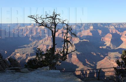 ref-7170-usa18-grand-canyon-usa-road-trip-photographe-desert-ouest-americain-.jpg